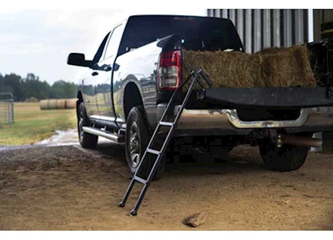 Traxion TAILGATE LADDER XL